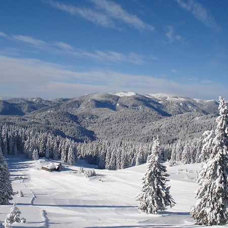 Vip Apartment Stenata Complex Pamporovo Exterior photo